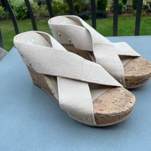 BP cork wedge